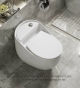 Bồn cầu 1 khối CA - C11